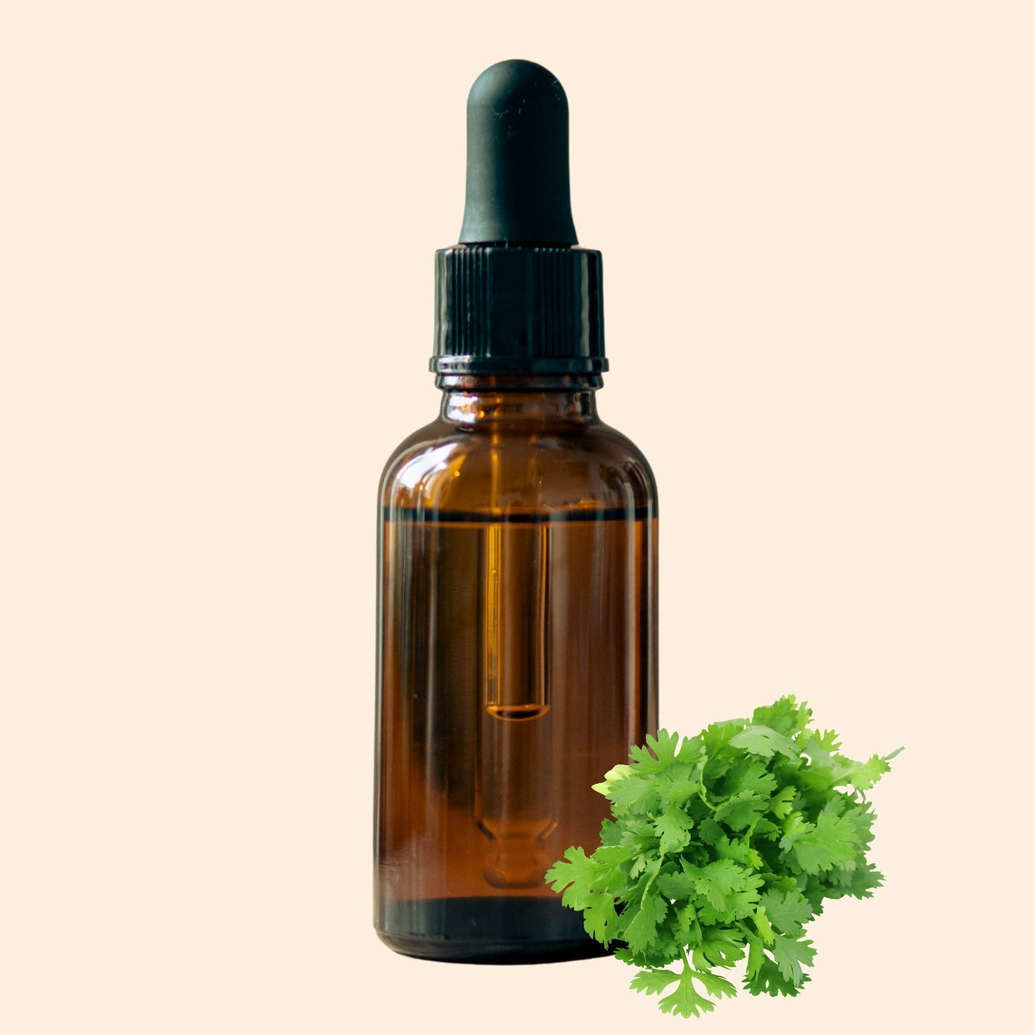 Shoprythm Hydrosols Coriander Hydrosol Shoprythm Hydrosols Coriander Hydrosol